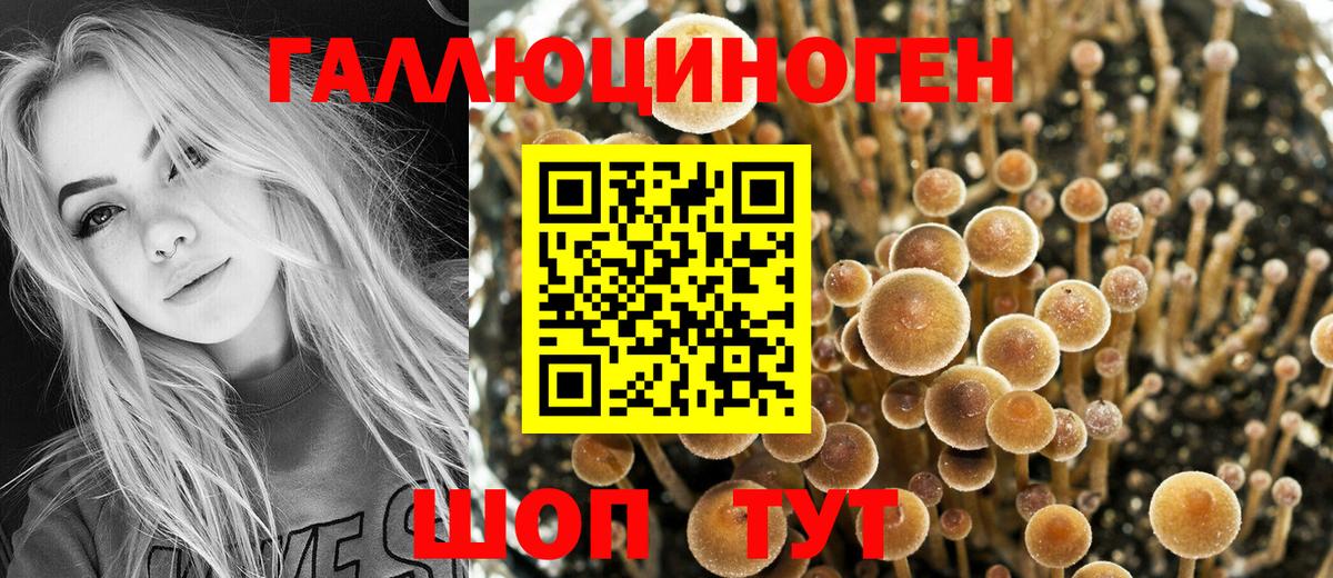 Галлюциногенные грибы GOLDEN TEACHER Уварово