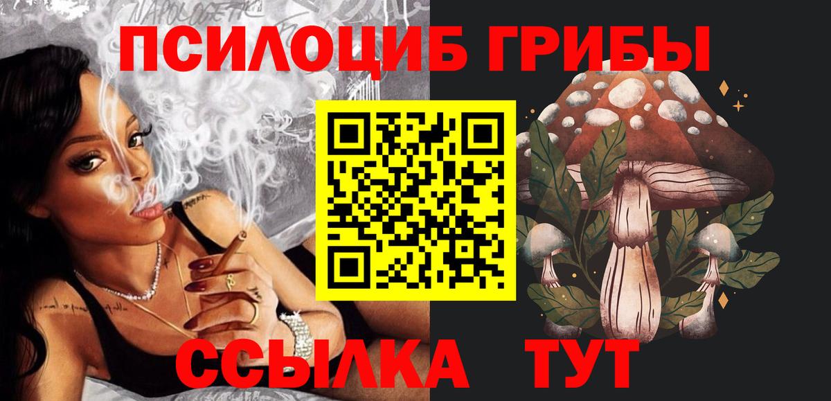 купить   Вход с VPN  Уварово  Псилоцибиновые грибы Psilocybe 